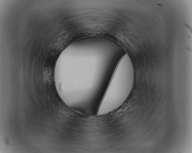 X0000091640867200708230946