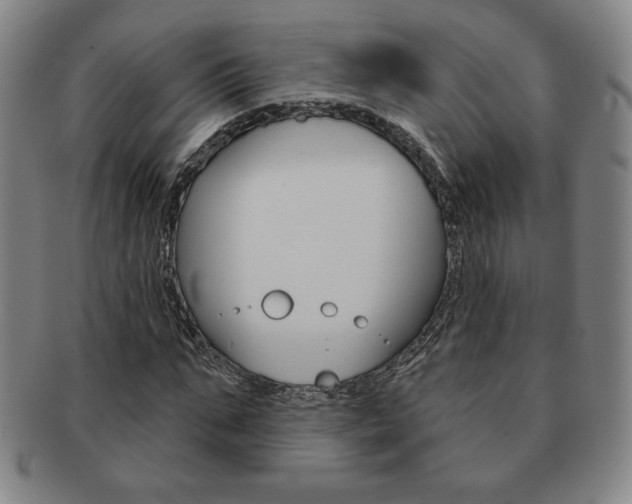 X0000091640871200708230946
