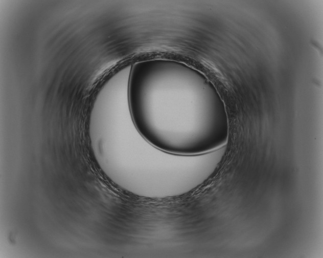 X0000091640872200708230946