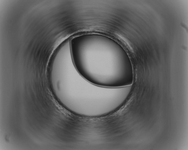 X0000091640876200708230946