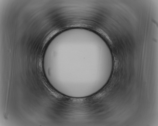 X0000091640882200708230946