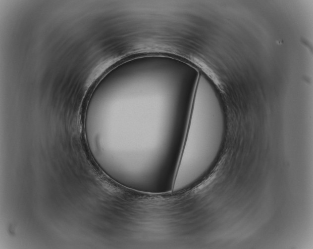 X0000091640885200708230946
