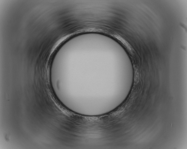 X0000091640886200708230946