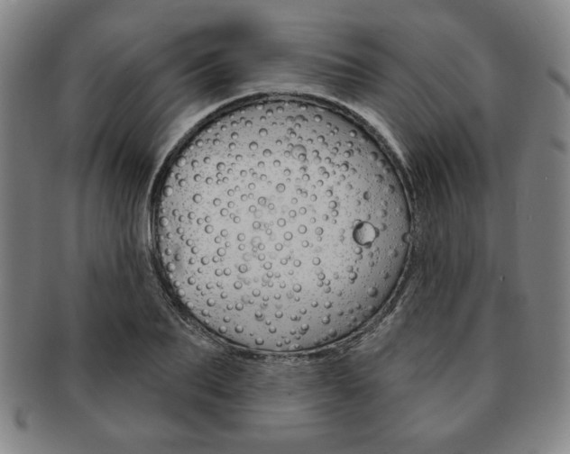 X0000091640887200708230946