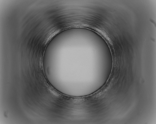 X0000091640889200708230946
