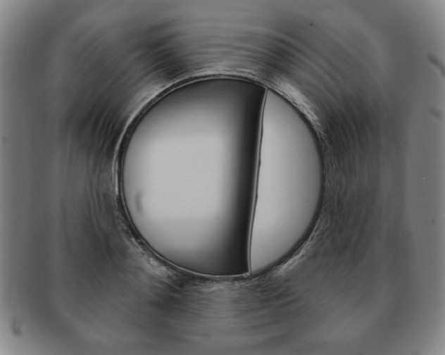 X0000091640892200708230946