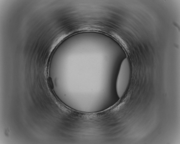 X0000091640893200708230946