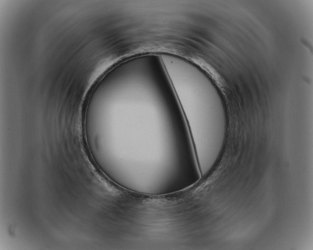 X0000091640894200708230946