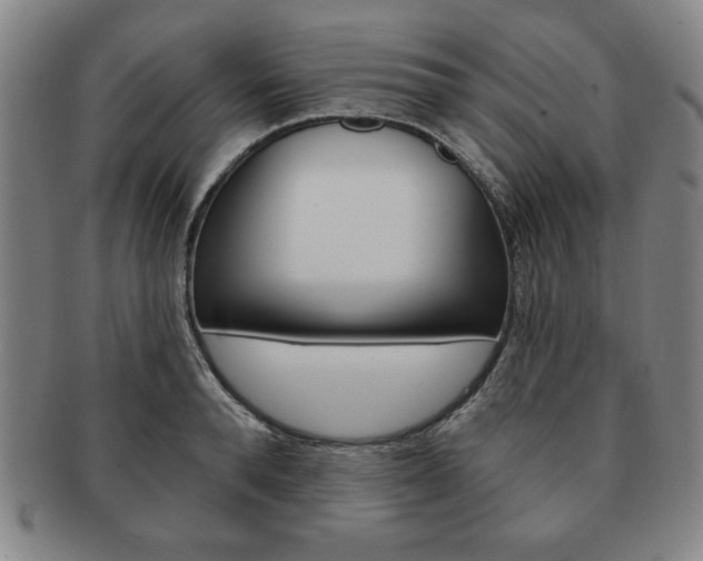 X0000091640896200708230946