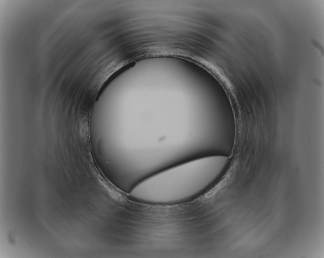 X0000091640897200708230946