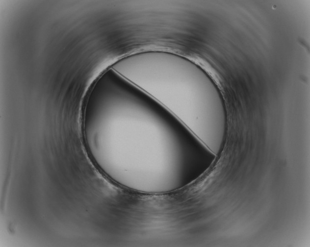 X0000091640902200708230946