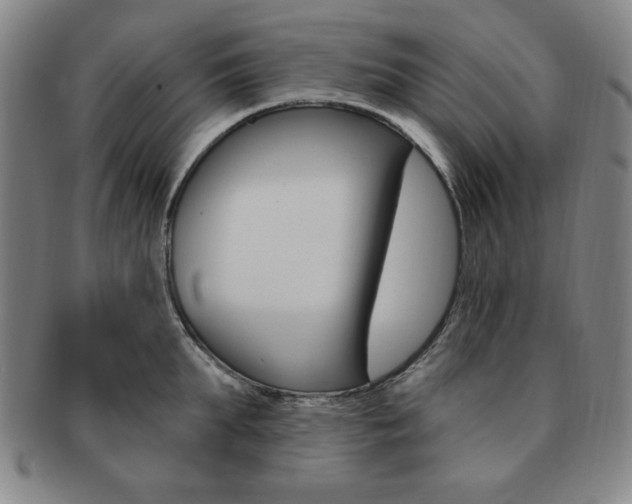 X0000091640903200708230946
