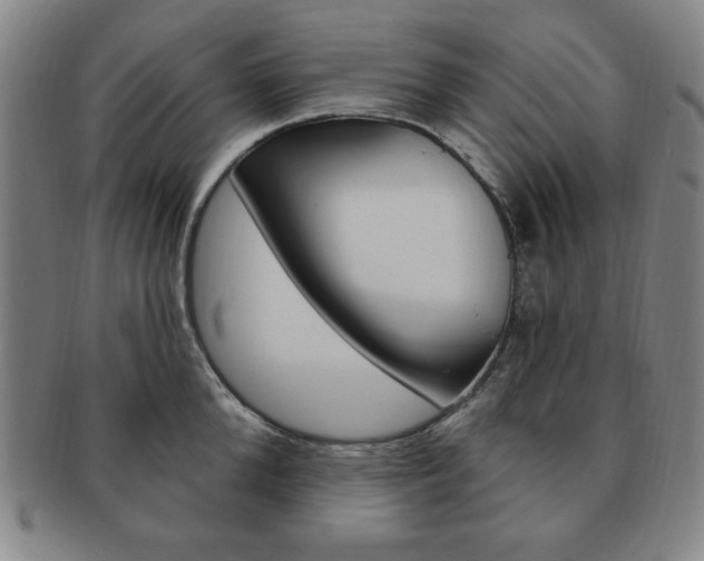 X0000091640904200708230946