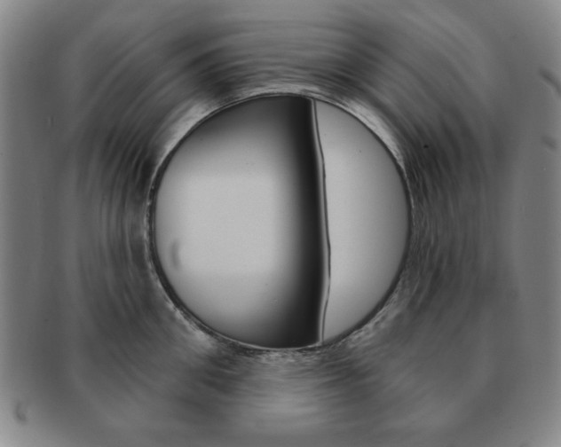 X0000091640906200708230945