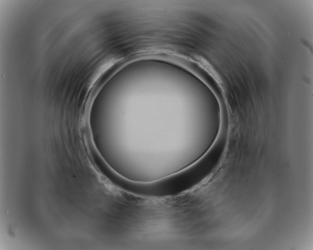 X0000091640909200708230945