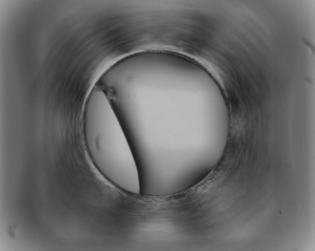 X0000091640911200708230945