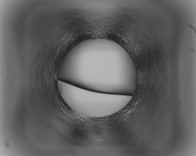 X0000091640913200708230945