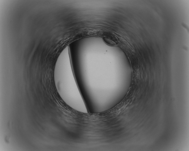 X0000091640914200708230945