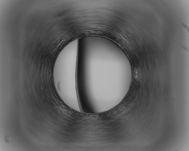 X0000091640915200708230945
