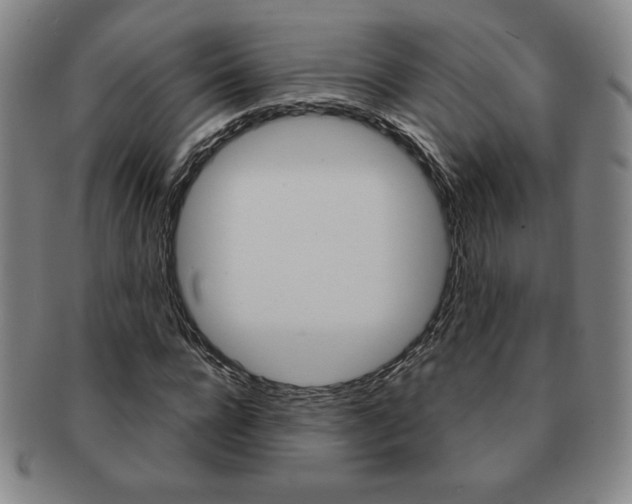 X0000091640920200708230945