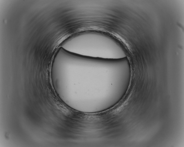 X0000091640921200708230945