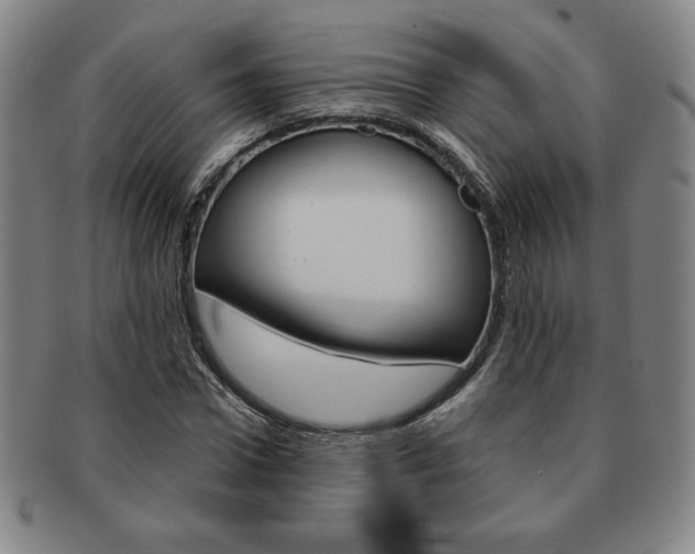 X0000091640922200708230945