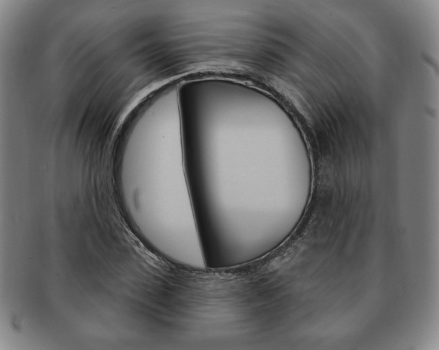 X0000091640923200708230945