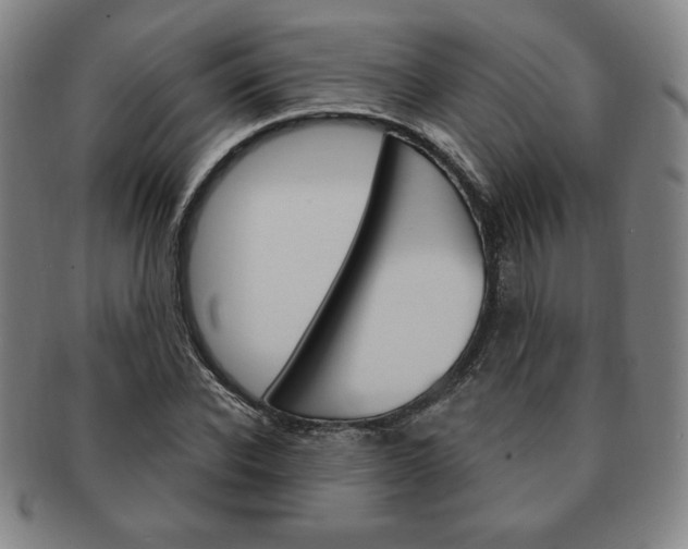 X0000091640926200708230945