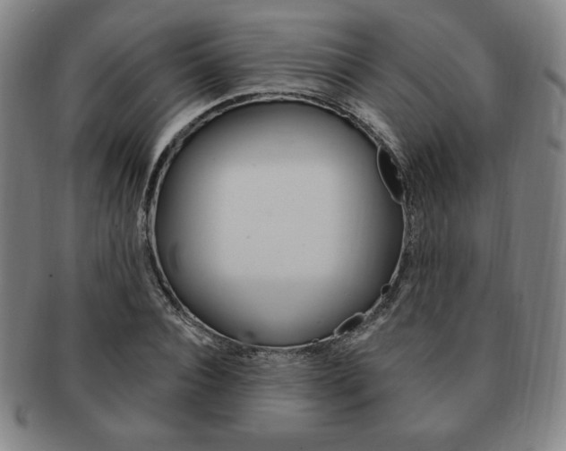 X0000091640928200708230945