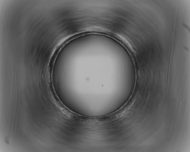 X0000091640931200708230945