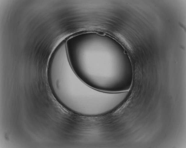 X0000091640932200708230945