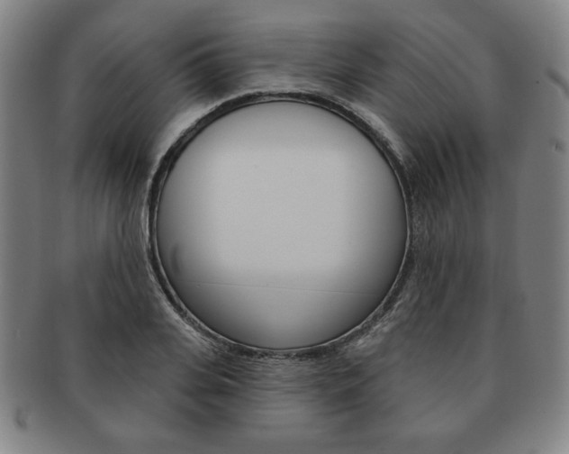 X0000091640935200708230945
