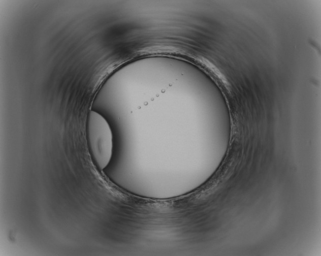 X0000091640937200708230945