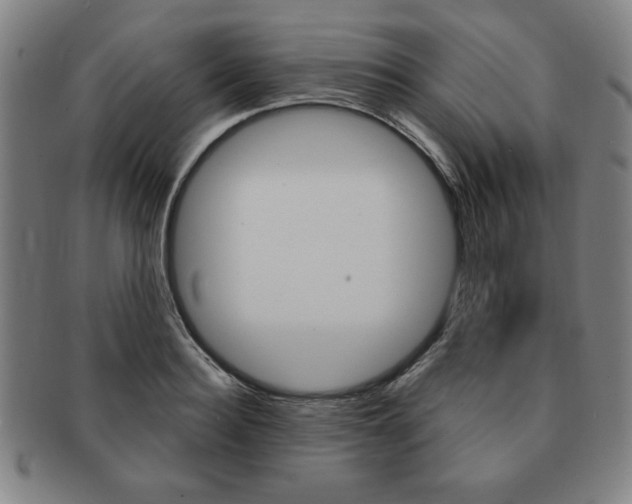 X0000091640940200708230945
