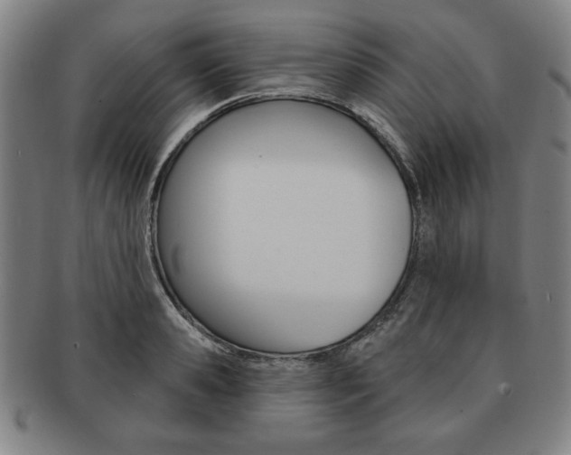 X0000091640941200708230945