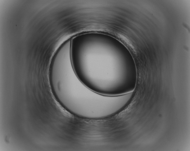X0000091640942200708230945