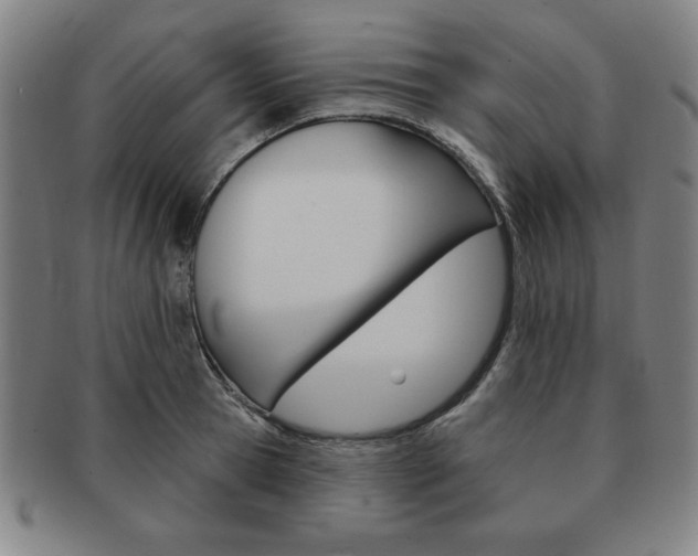 X0000091640945200708230945