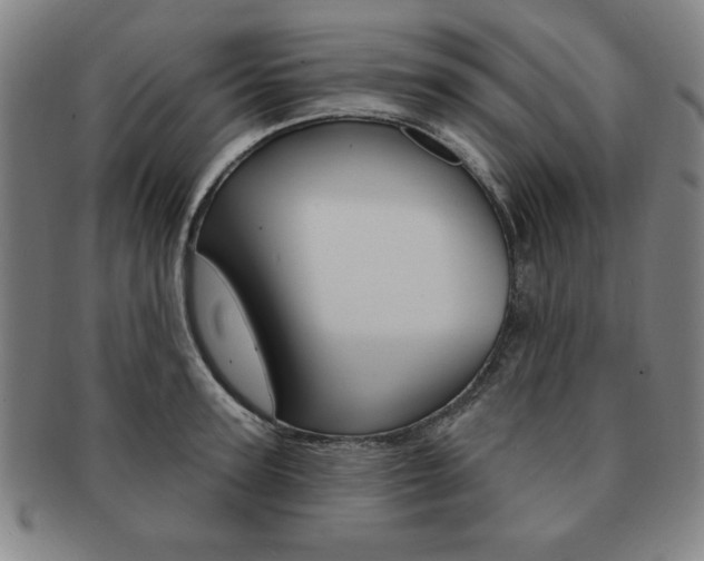 X0000091640947200708230945