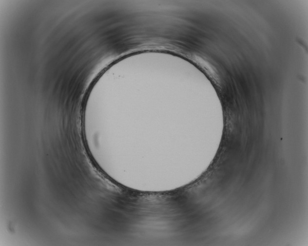 X0000091640950200708230945
