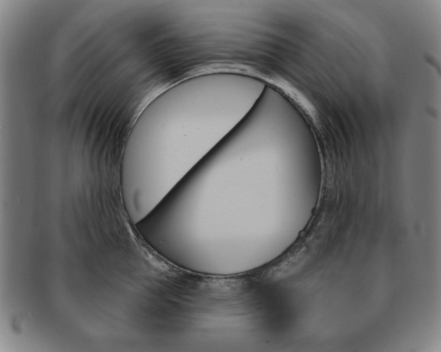 X0000091640953200708230945