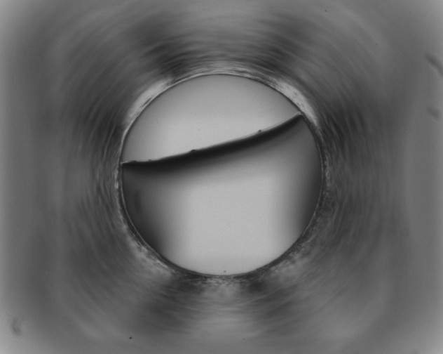 X0000091640954200708230945