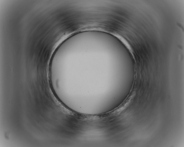 X0000091640957200708230945