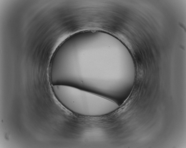 X0000091640958200708230945