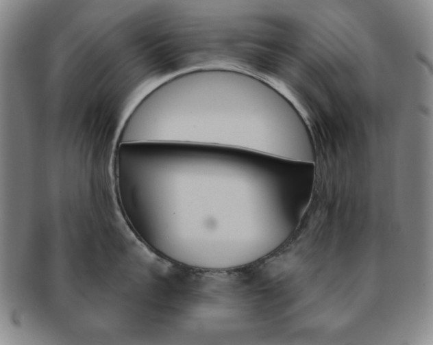 X0000091640959200708230945