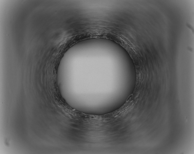 X0000091640961200708230945