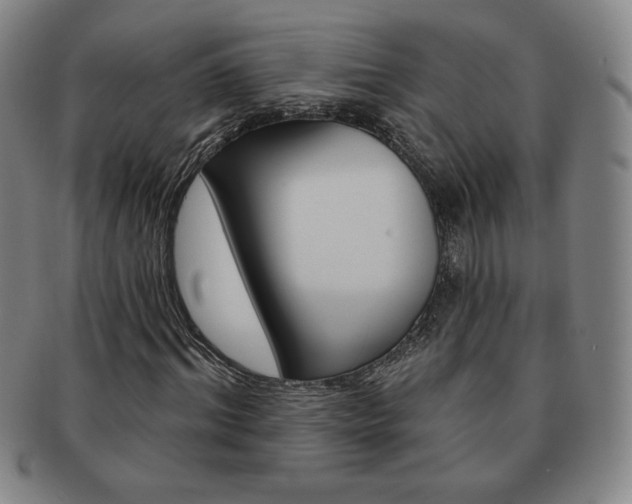 X0000091640964200708230945