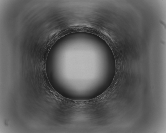 X0000091640965200708230945