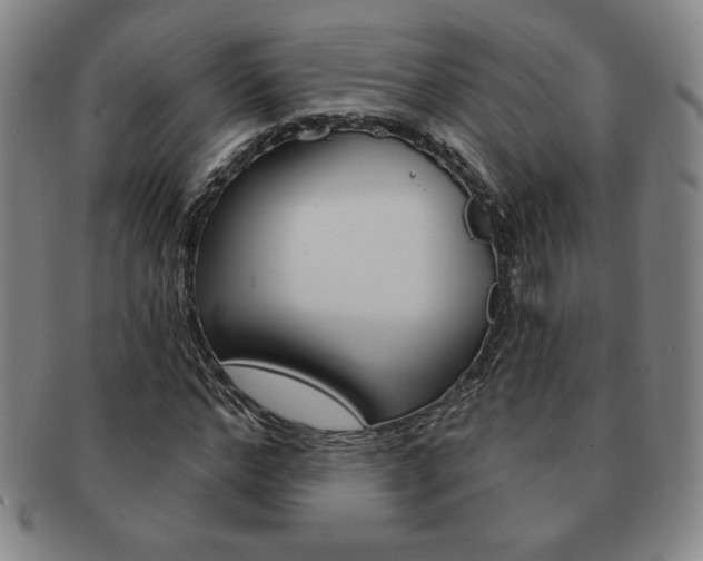 X0000091640968200708230945