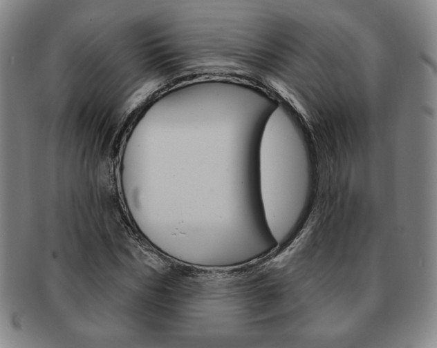 X0000091640970200708230945