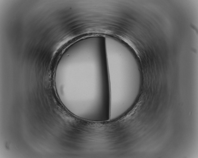 X0000091640971200708230945